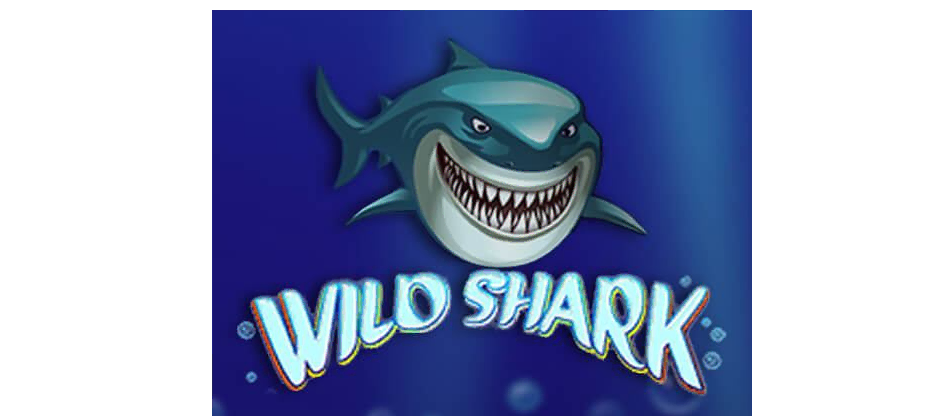 Wild Shark Slot Review-image